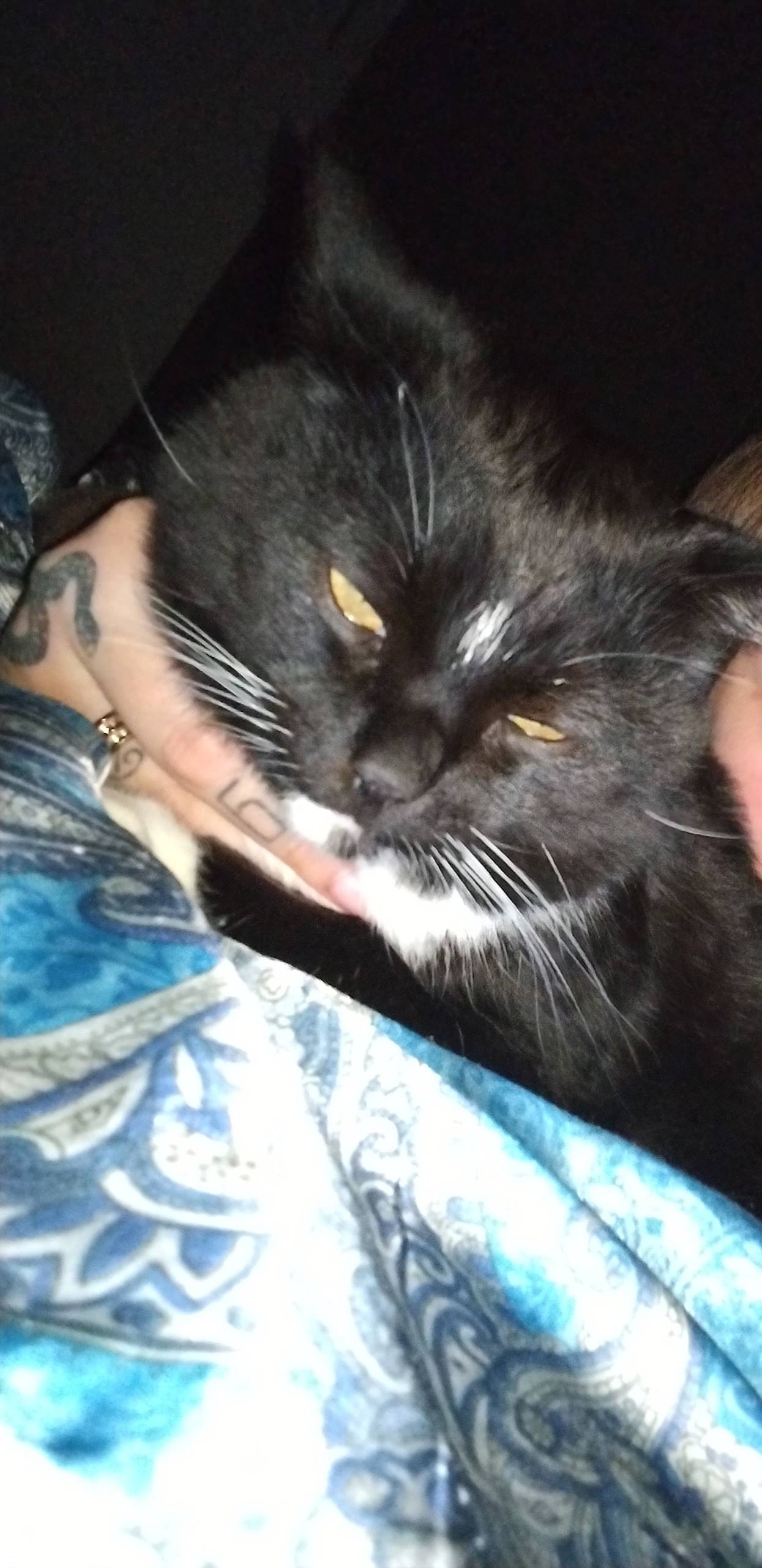 Здравствуйте, вчера по улице К...