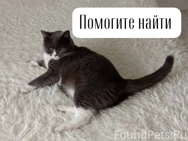 СТАВРОПОЛЬ Прошу помощи! Пропа...