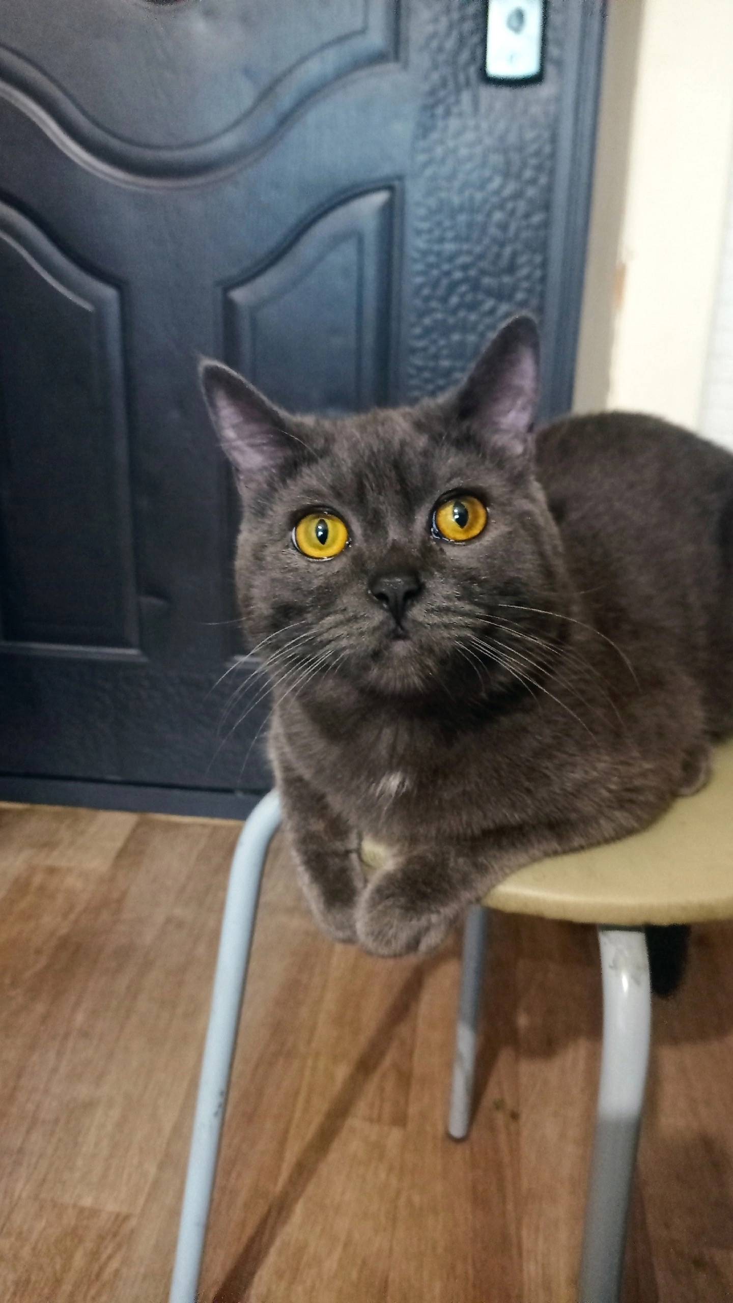 Архангельск! Аэропорт, гарнизо...