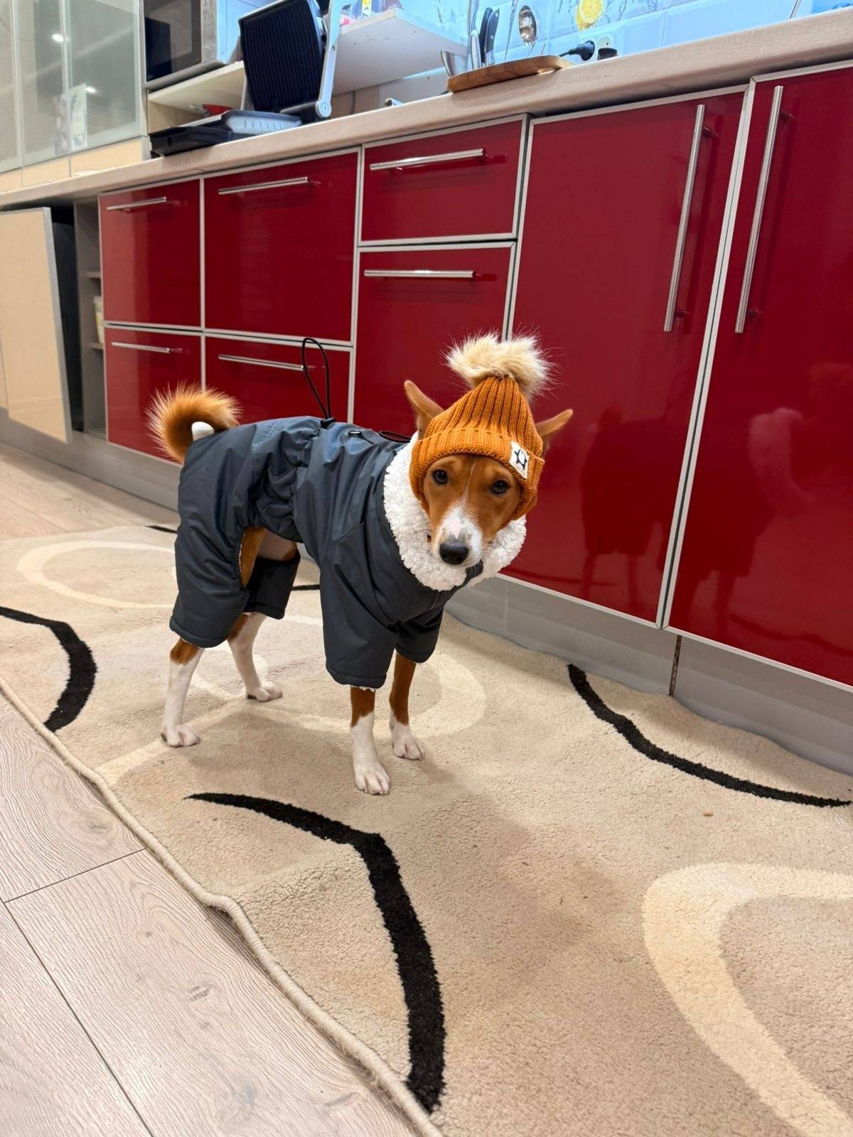 Прошу максимальный репост! Сег...