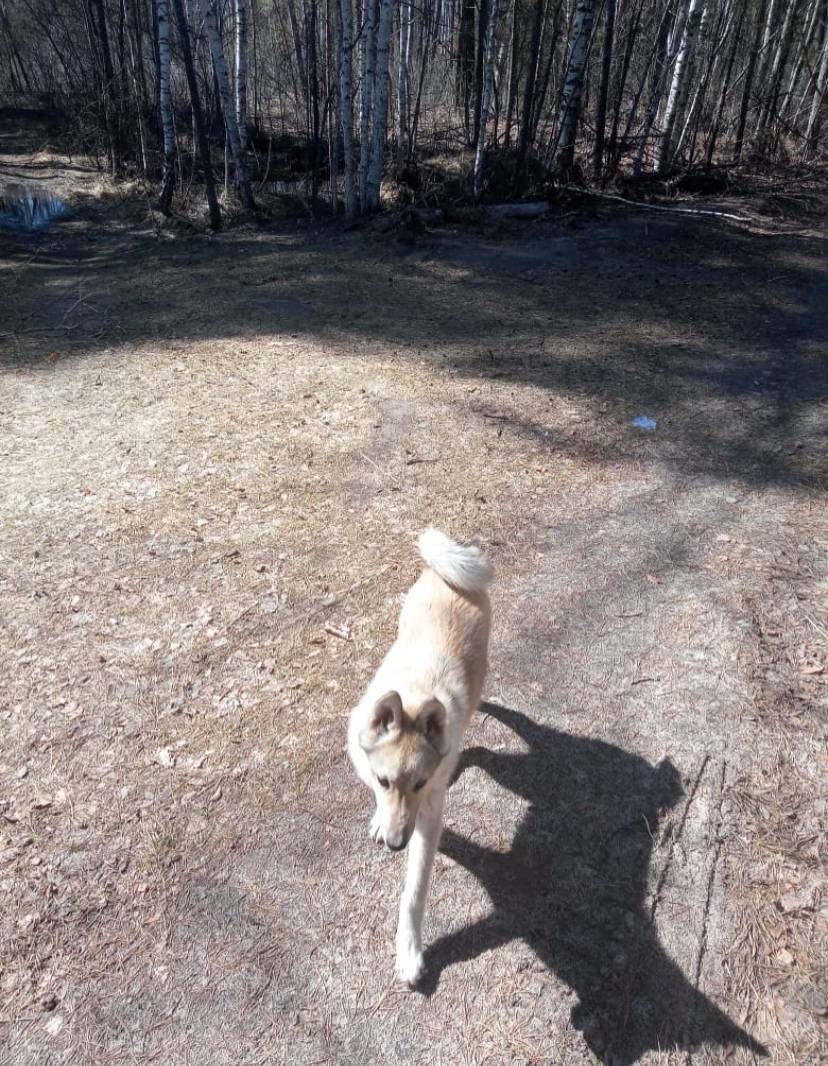 Доброго времени суток, ❗️ проп...