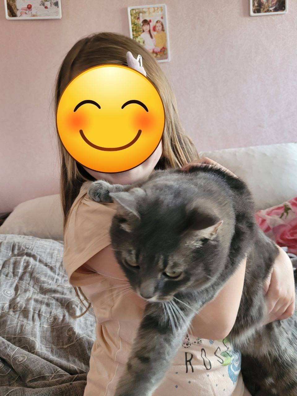 Пропал кот, кличка Том. Нашедш...