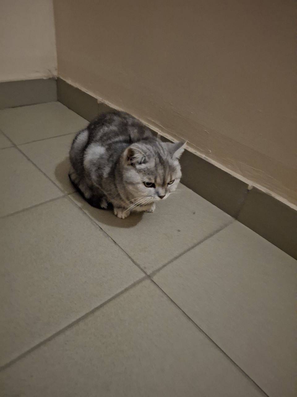 Вчера около Рождественского, 6...