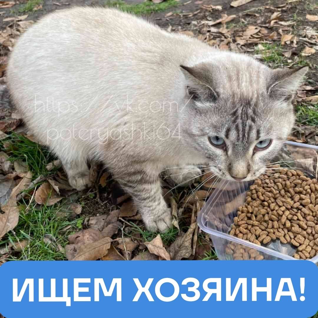 Энгельс, Набережная Рудченко. ...