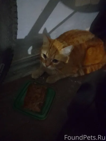 Добрый вечер. Сегодня 20.11.25...