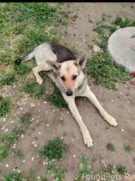 Сегодня есть хороший повод под...