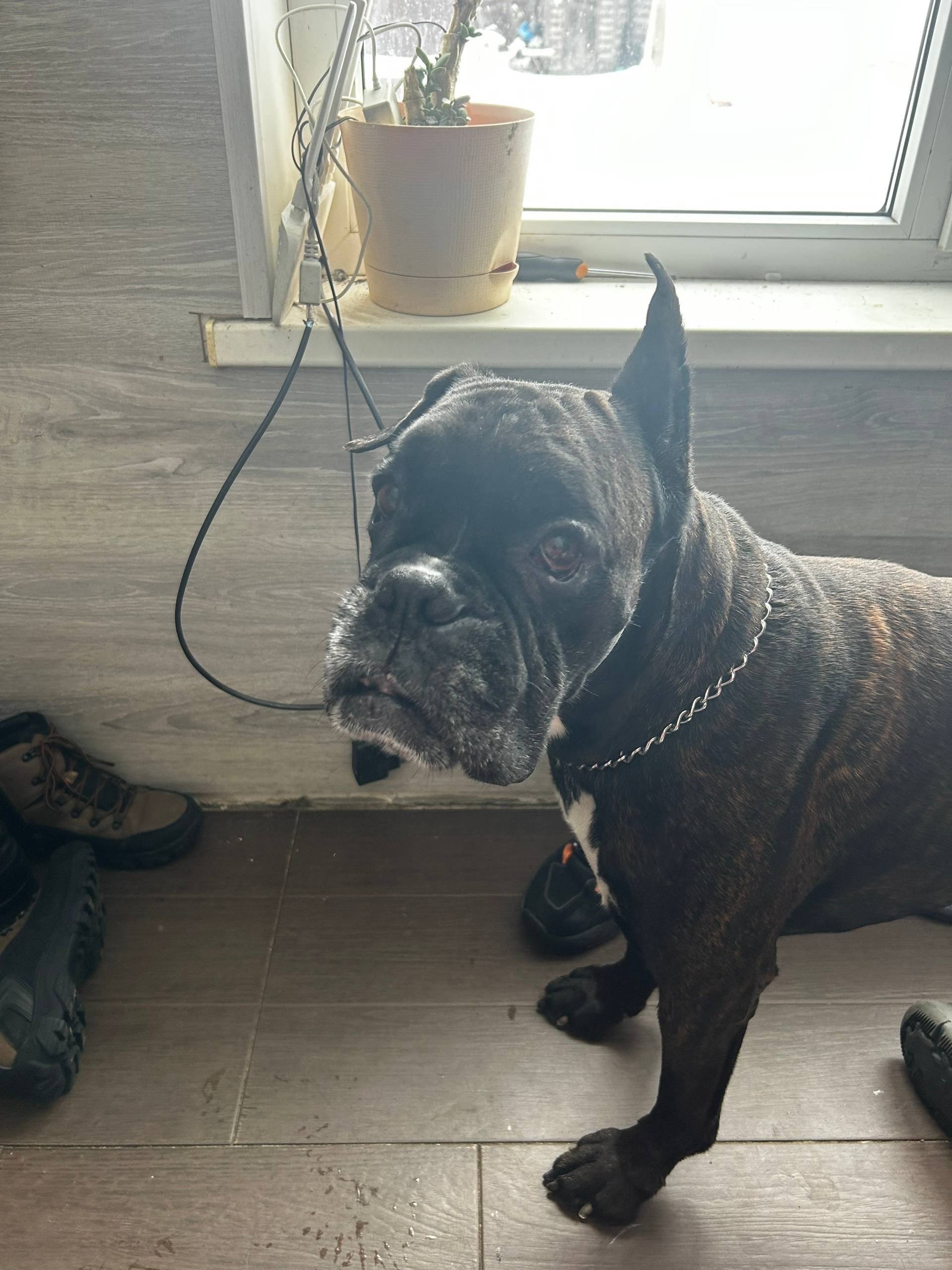 Никольское , Тосненский район ...