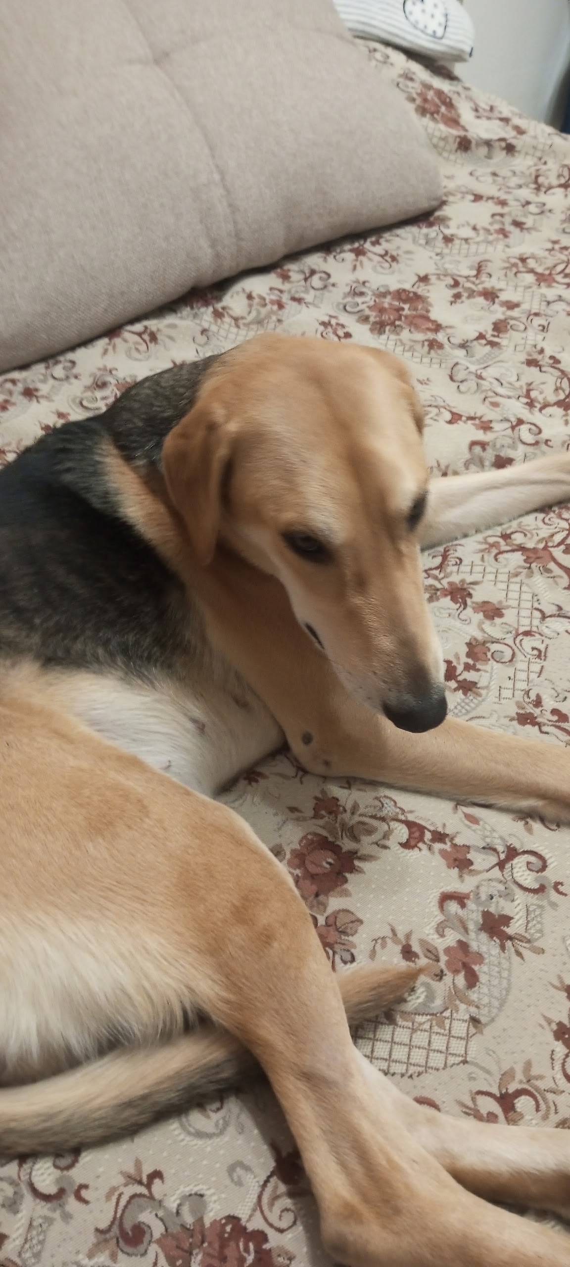 20 ноября в районе Корсаково-К...