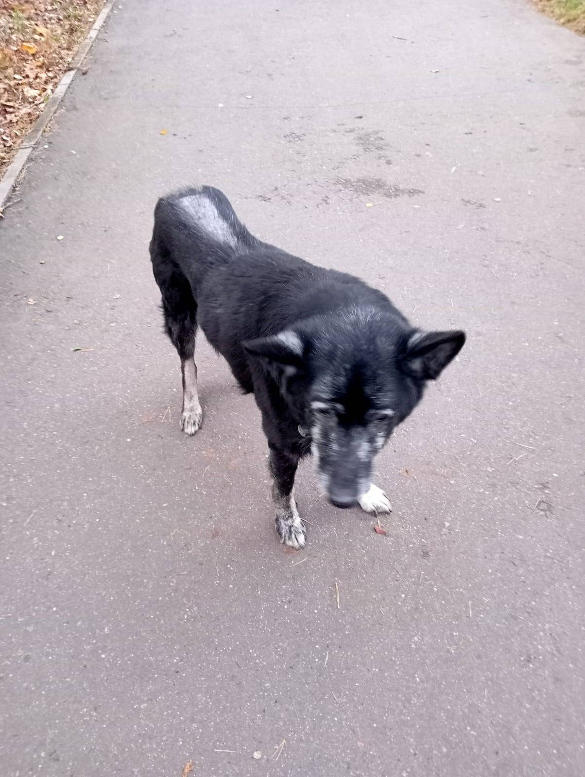 ‼Друзья!!️ Просим о помощи най...