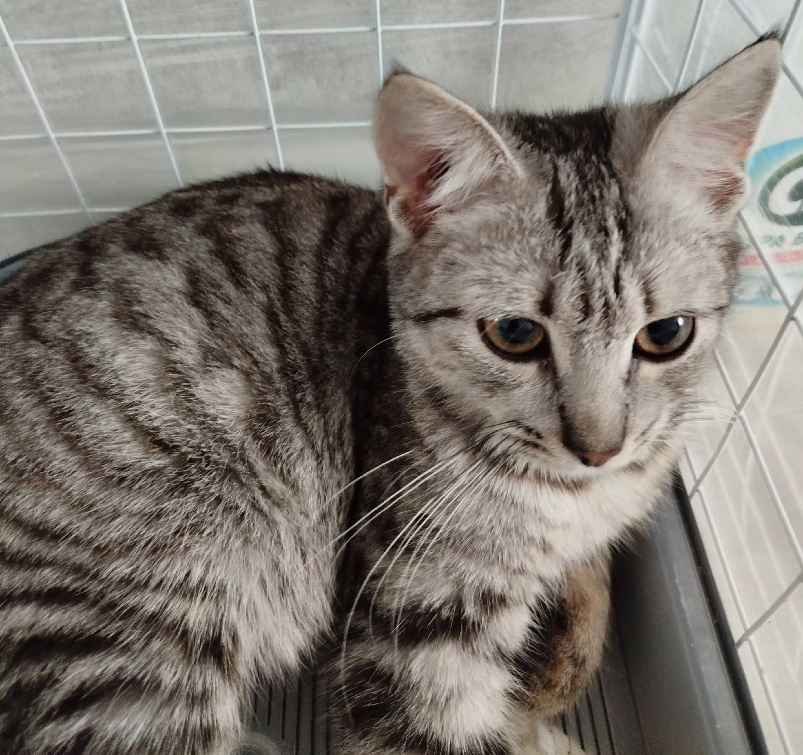 ‼️‼️‼️В районе ул. Любови Шевц...