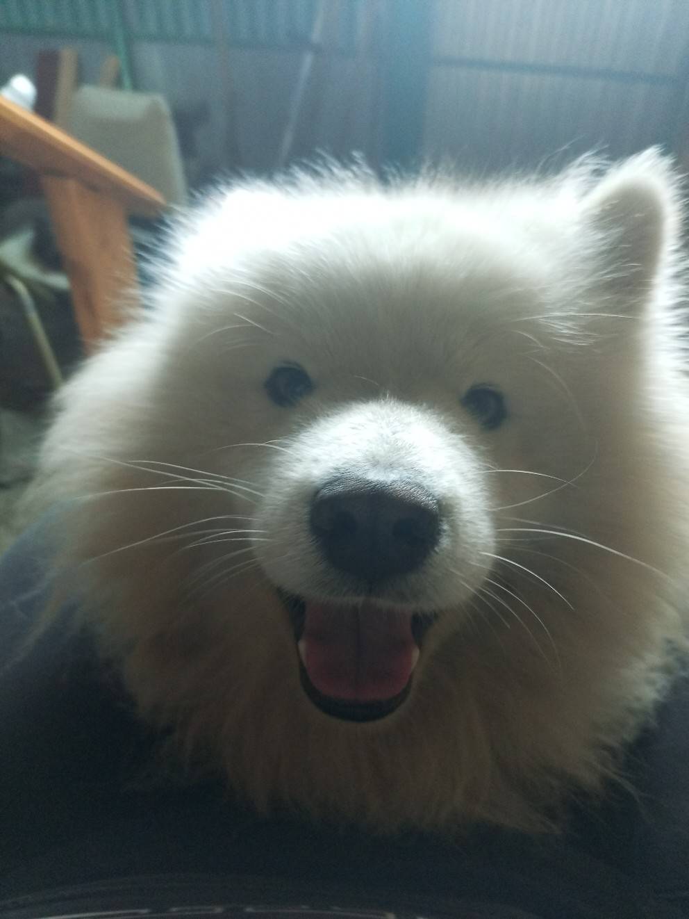 Не по теме: ребят помогите пот...