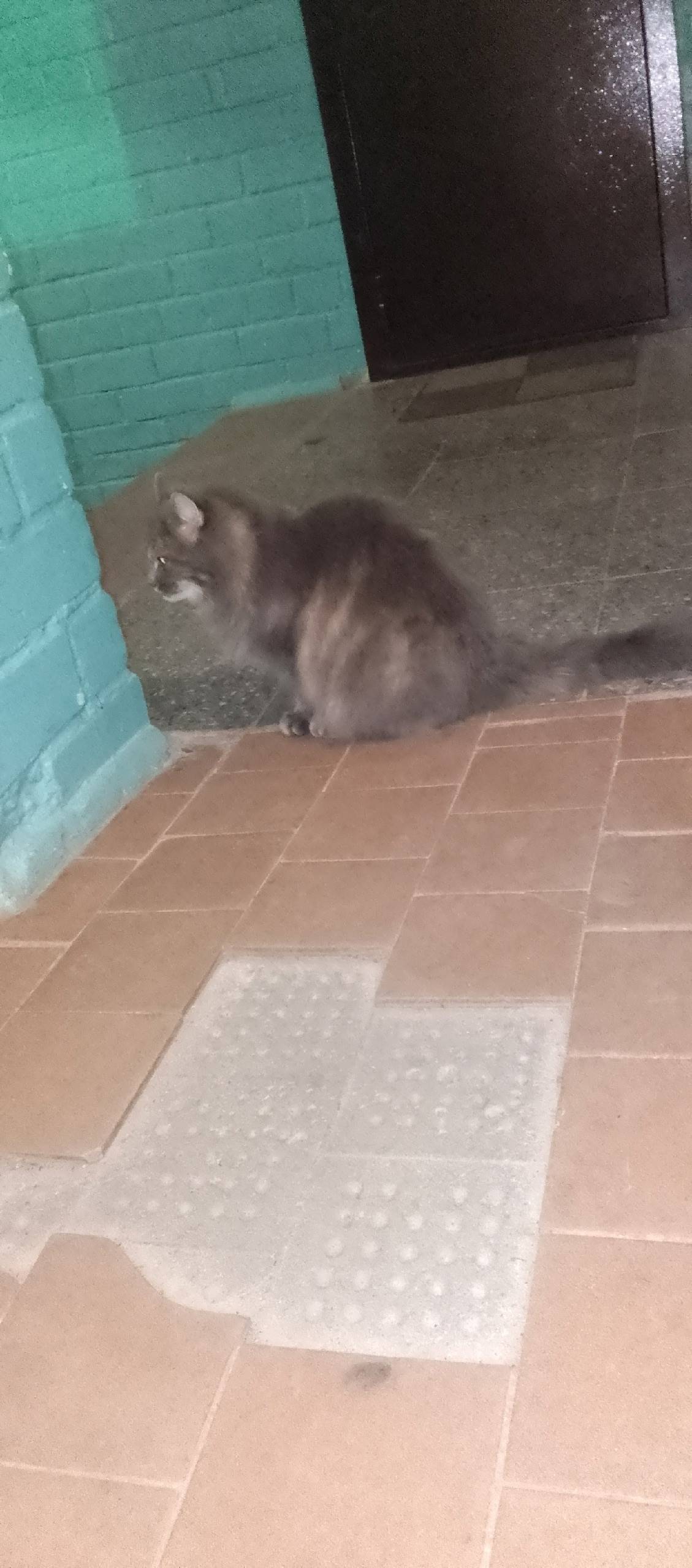 ️18 ноября пропала возрастная ...