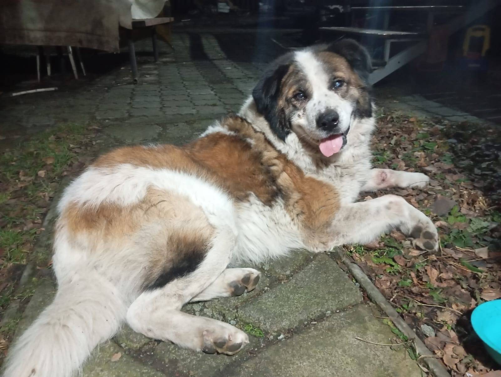 Друзья, нужна помощь 🙏 К людям...