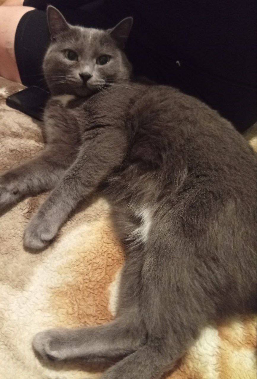 В районе дома 8 на улице...