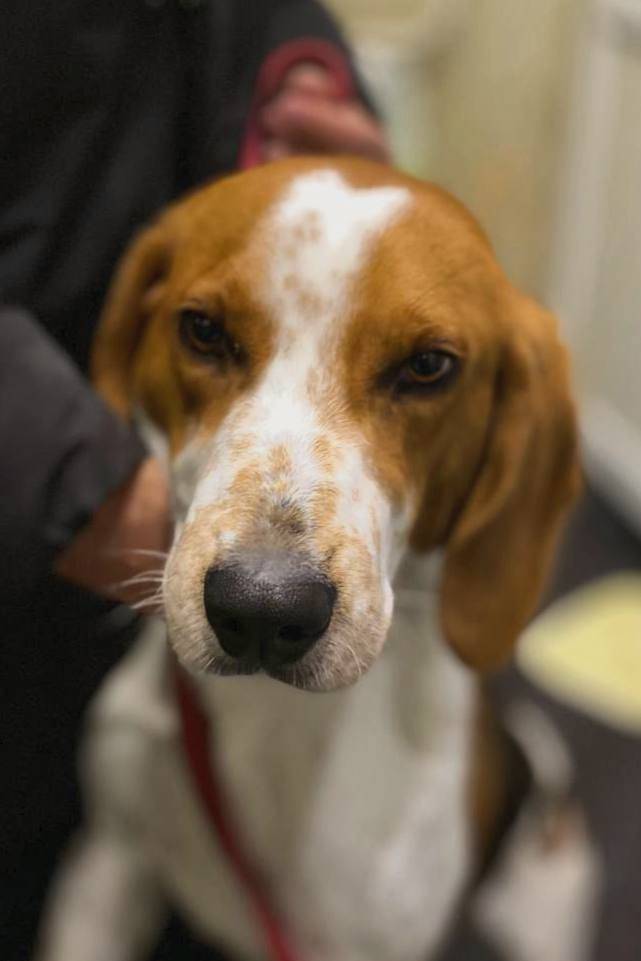 Ставрополь, район Промышленный...