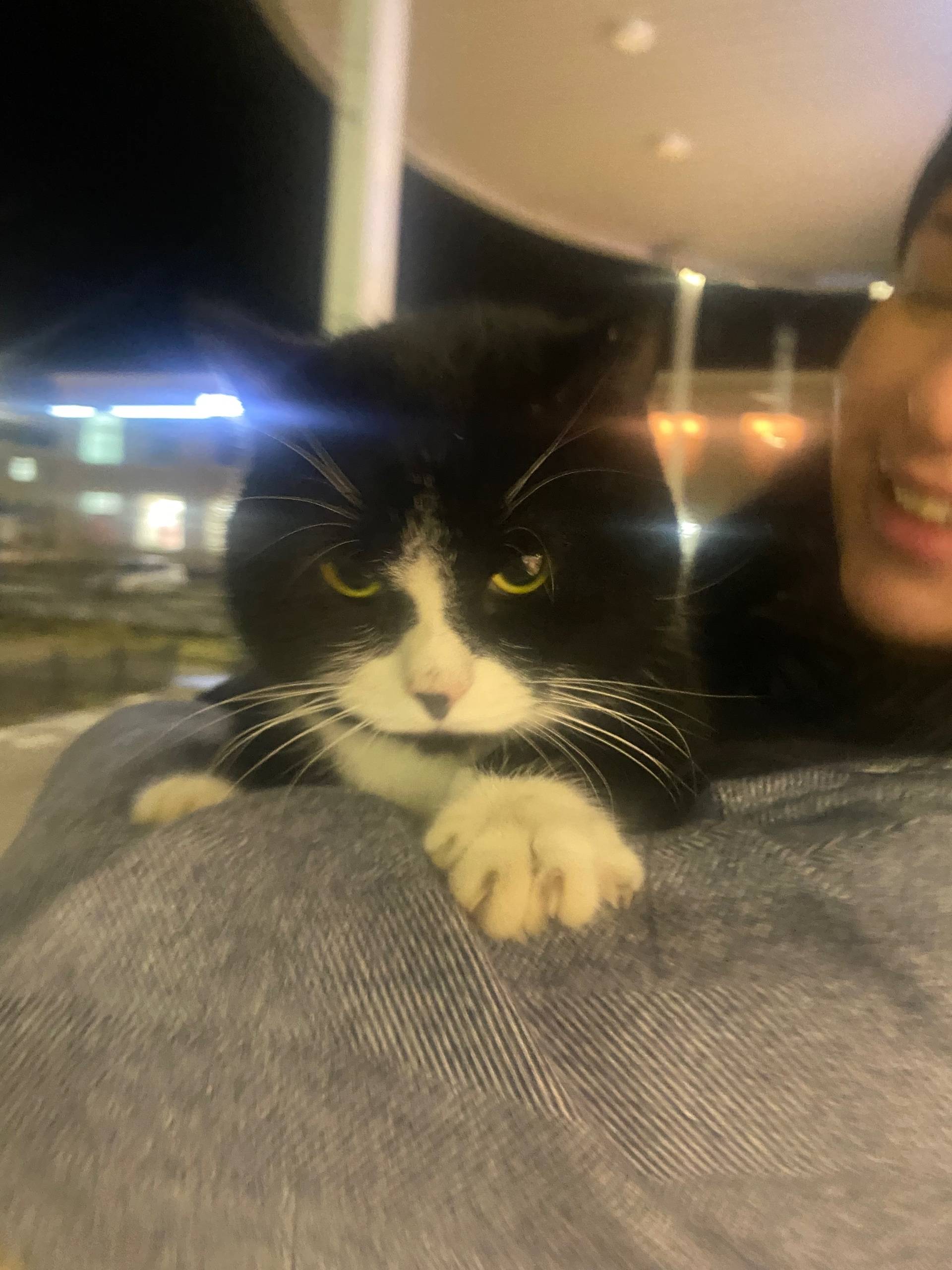 СРОЧНО ‼️ ДРУЗЬЯ ВЧЕРА 20.11.....