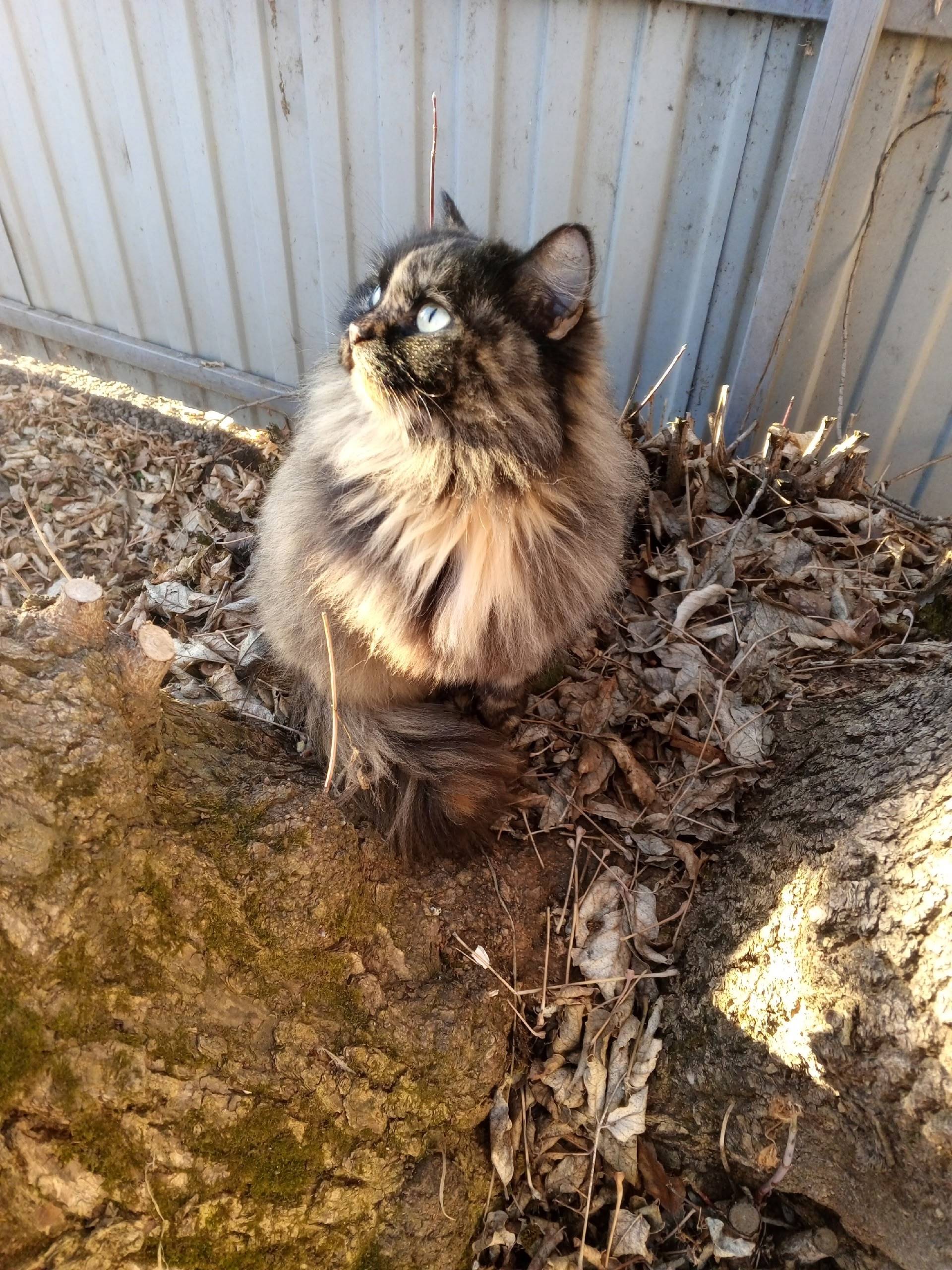 Вот такая красивая, чистенькая...