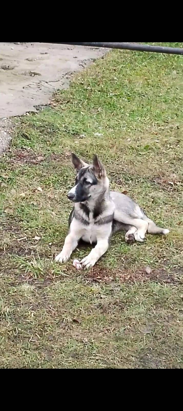 Полный треш! Может кто узнает ...