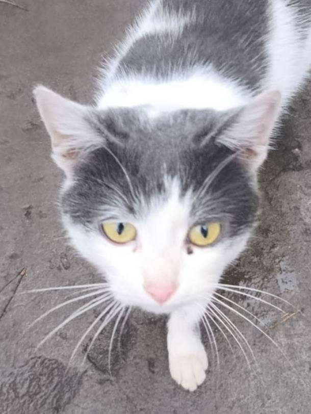 В с Ямное в районе за...