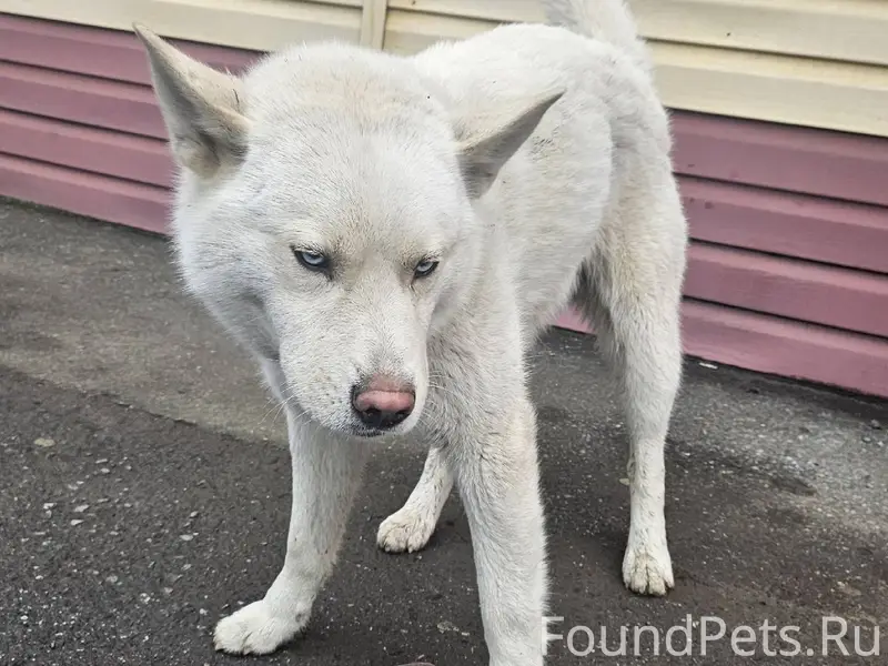 Возможно, в этот раз пост опуб...