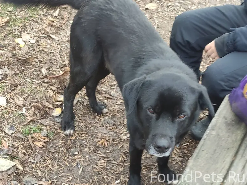 В 4 м-не больше месяца...