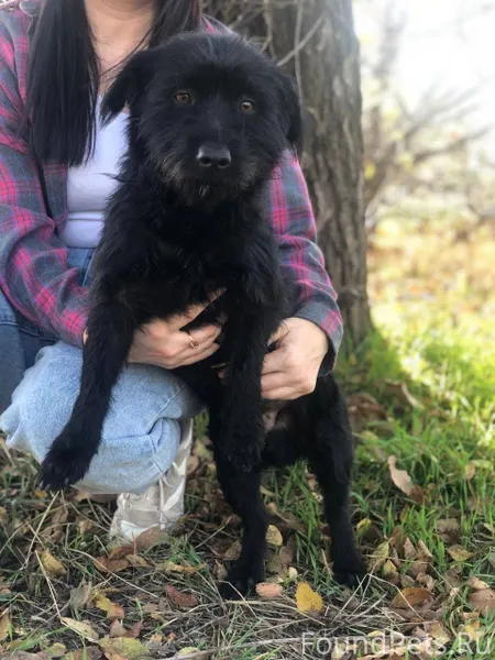 ❗❗Хеппиэнд ❗❗ А Борис то совсе...