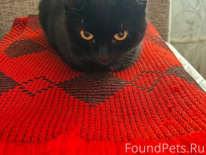 Микрорайон Машзавода, ул. Детс...