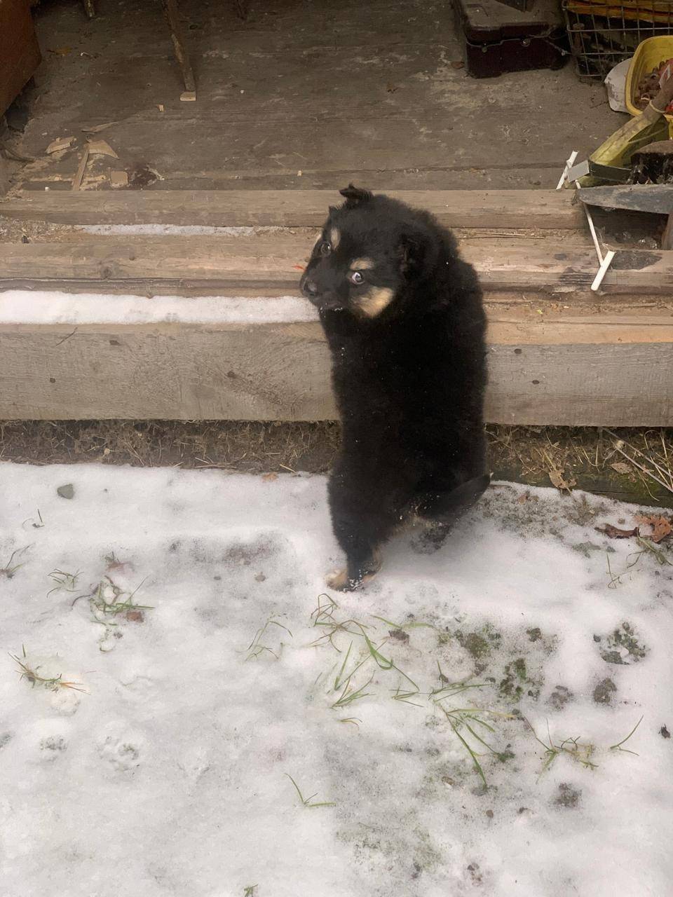 В посёлке Баранчинский, в гара...