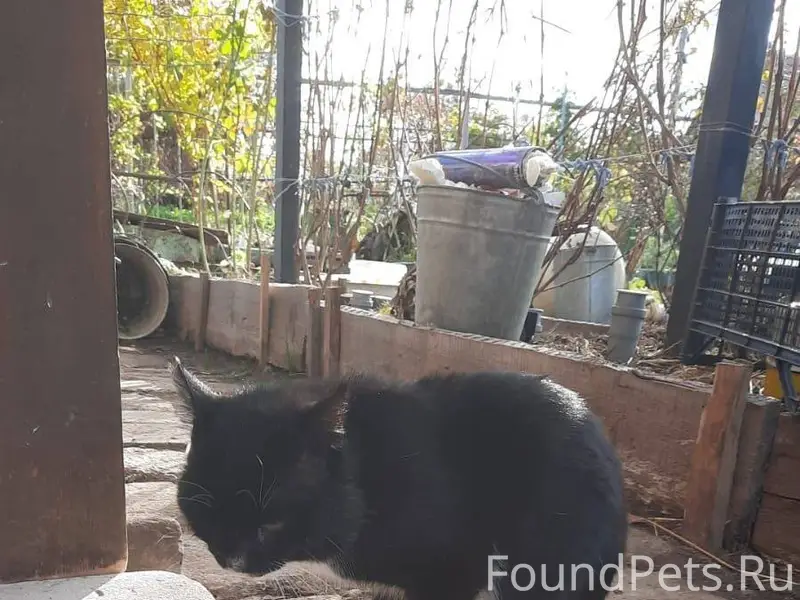 Кузя!!!! Ты где???? Милый, ну ...