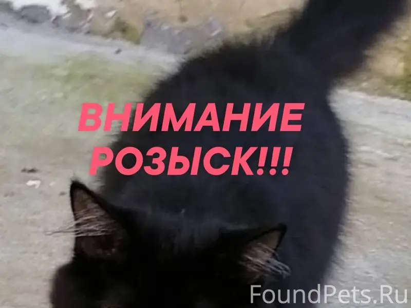 ‼️ВНИМАНИЕ РОЗЫСК‼️ Важна люба...