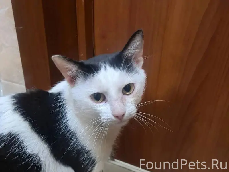 Добрый день опубликуйте, пожал...