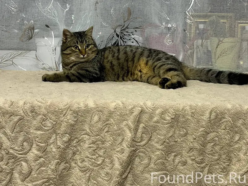 Ночью,в 00:30 к нашей...