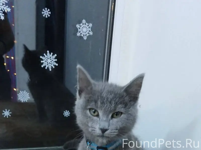 Всем доброго времени суток! Пр...