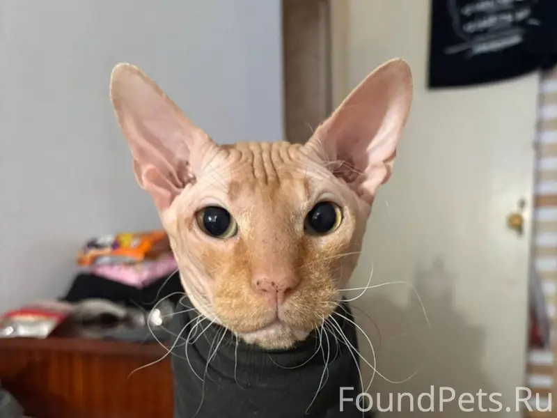 Здравствуйте, в районе калинин...