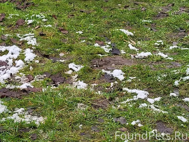 Всем доброго вечера. У нас во....