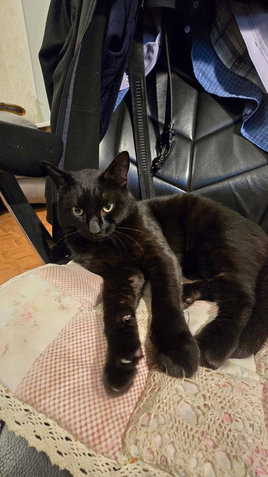 ИХ ИЩУТ *** 20 ноября убежал к...