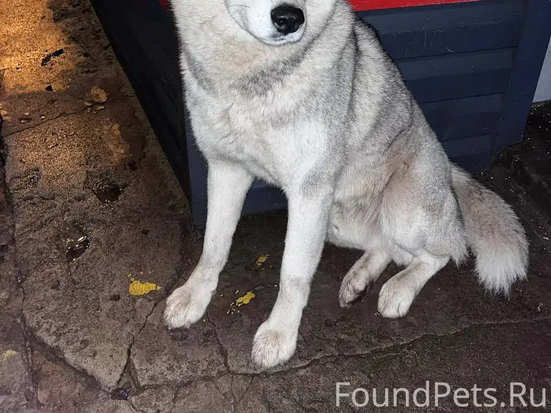 На станции возле жд вокзала пр...