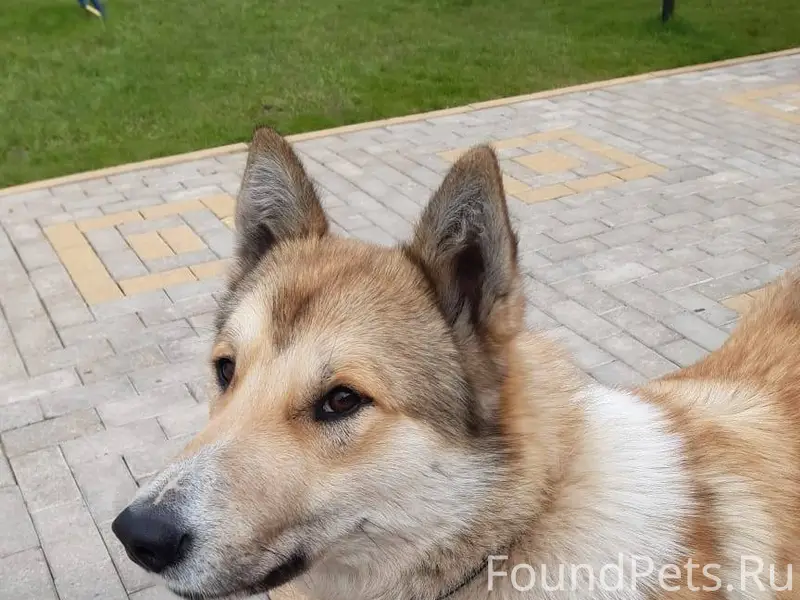 В 22.11 утром в Вещево...