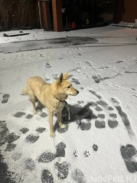 Сегодня, 23.11 примерно в 20.....