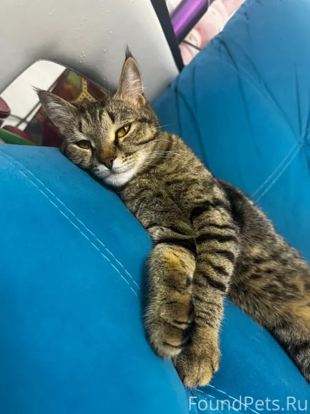 Пару дней назад была найдена в...