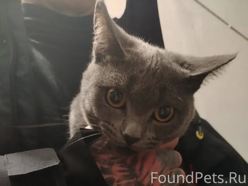 На мира 30а 1 подъезд 21...