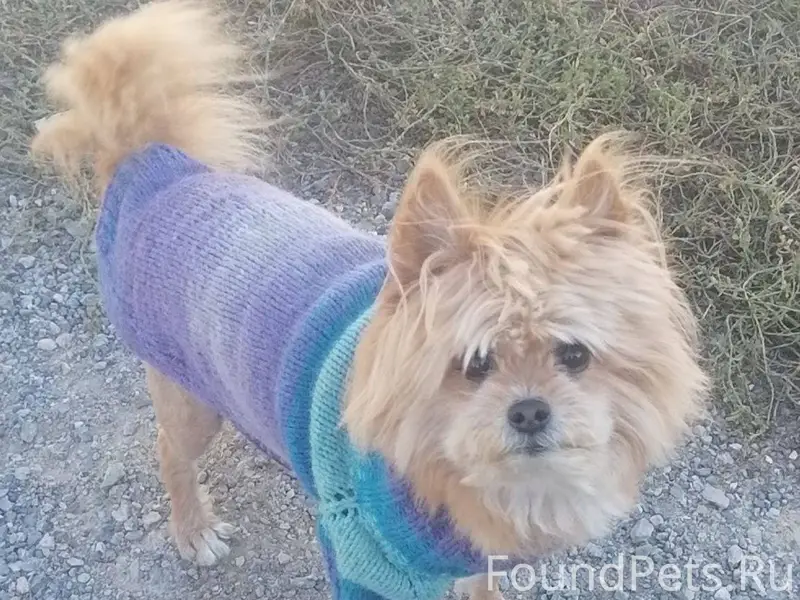 #Бгдпомоги Добрый вечер, потер...