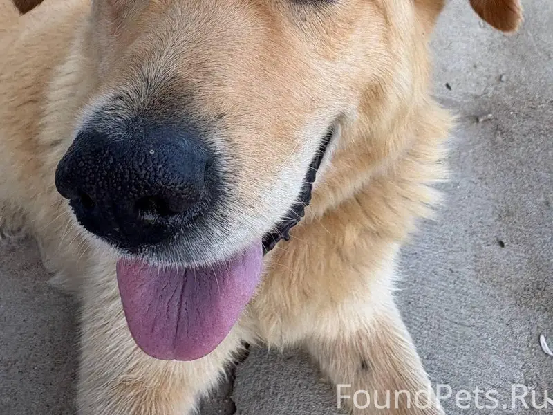 23.11.25 п. Подосинки была...