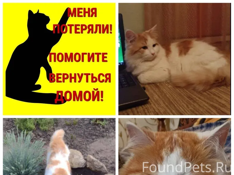 Михайловск ул. Комсомольская,п...