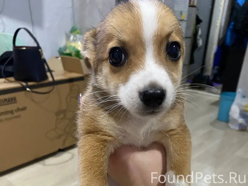 21.11 возле детского сада на.....