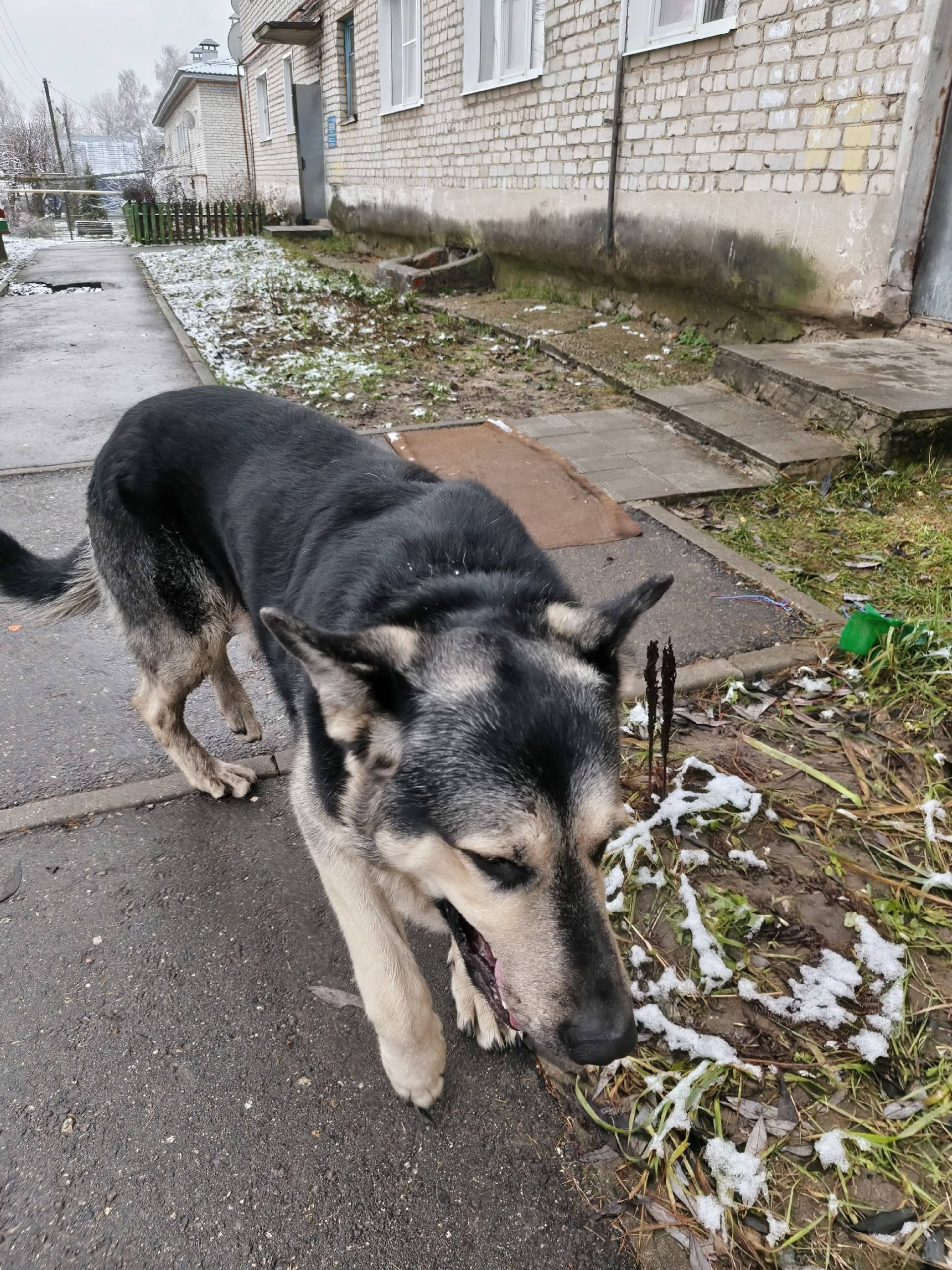 По микрорайону Посадка г. Судо...