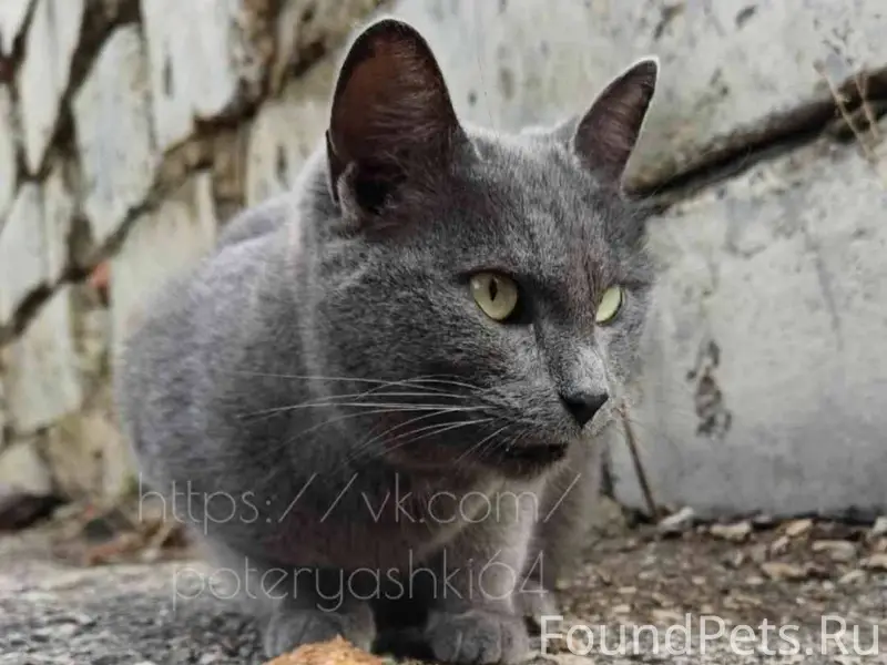 Саратов, улица Одесская, в рай...