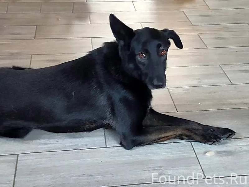 Пожалуйста максимальный репост...