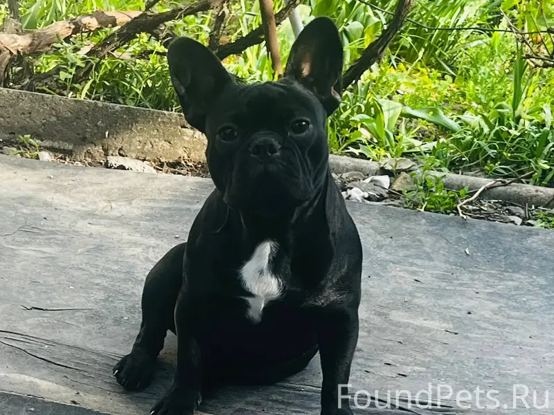 Ребят помогите может кто видел...