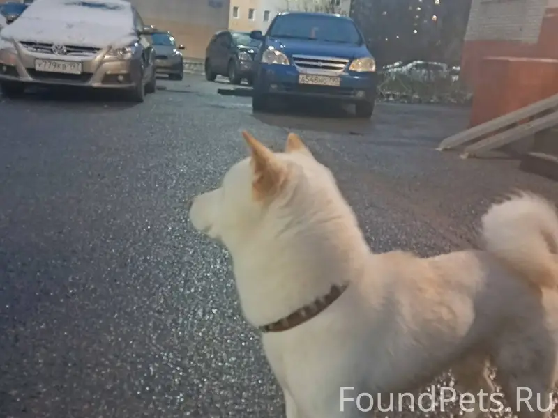 Г. Ногинск, ул. Новая, 12 Поте...